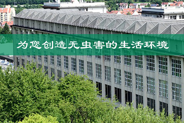 坦洲优质白蚁防治厂家