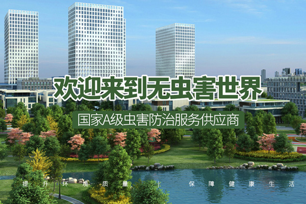 坦洲优质白蚁防治厂家